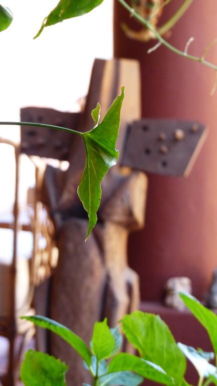 La Montana Bed & Breakfast กาฟายาเต ภายนอก รูปภาพ